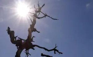 Temperaturas sobem no domingo e especialistas alertam para riscos do tempo seco em todo o estado
