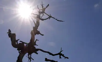 Temperaturas sobem no domingo e especialistas alertam para riscos do tempo seco em todo o estado