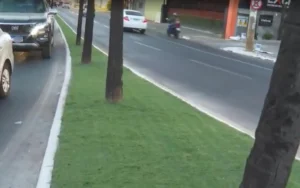 A instalação de grama sintética em canteiros de Goiânia abriu uma nova frente de debate sobre urbanismo e sustentabilidade na Capital Foto: Reprodução/TV Anhanguera