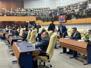 2 abre Foto Mariana Capeletti Camara Municipal 1