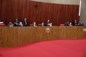 Partidos sádicos sofrem com as cotas e não aprendem Foto: Alejandro Zambrana_Secom_TSE