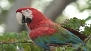 23.09.22tefmturdestinos