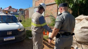 31626352 whatsapp image 2025 08 06 at 15.12.59 1200x675 1