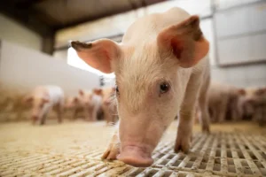 50022902968 ea8df12eb1 c