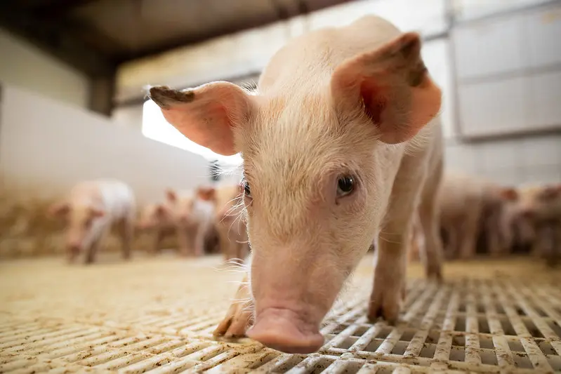 50022902968 ea8df12eb1 c