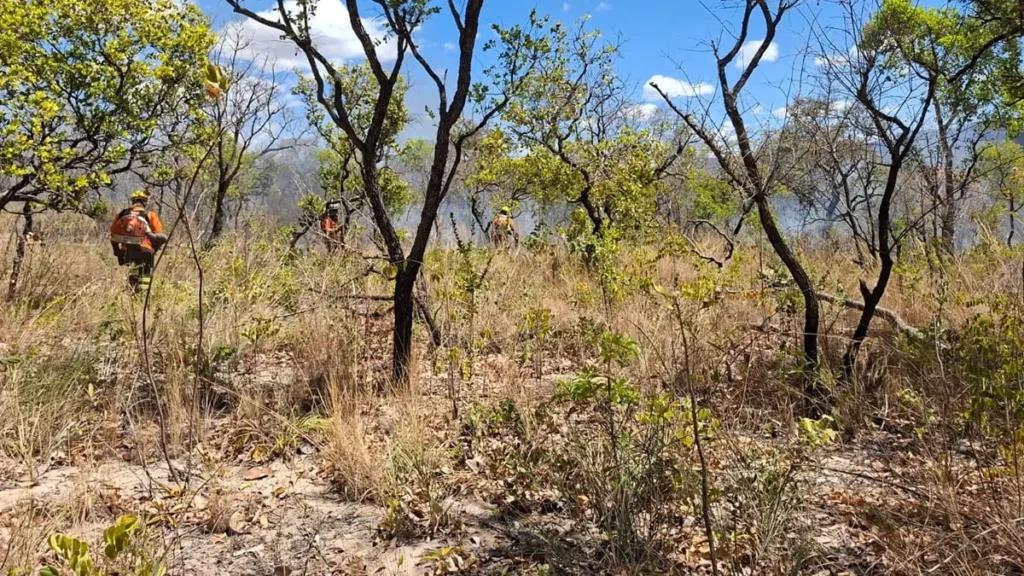 5eceef87 bombeiros fogo