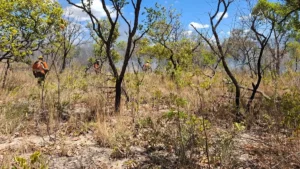 5eceef87 bombeiros fogo