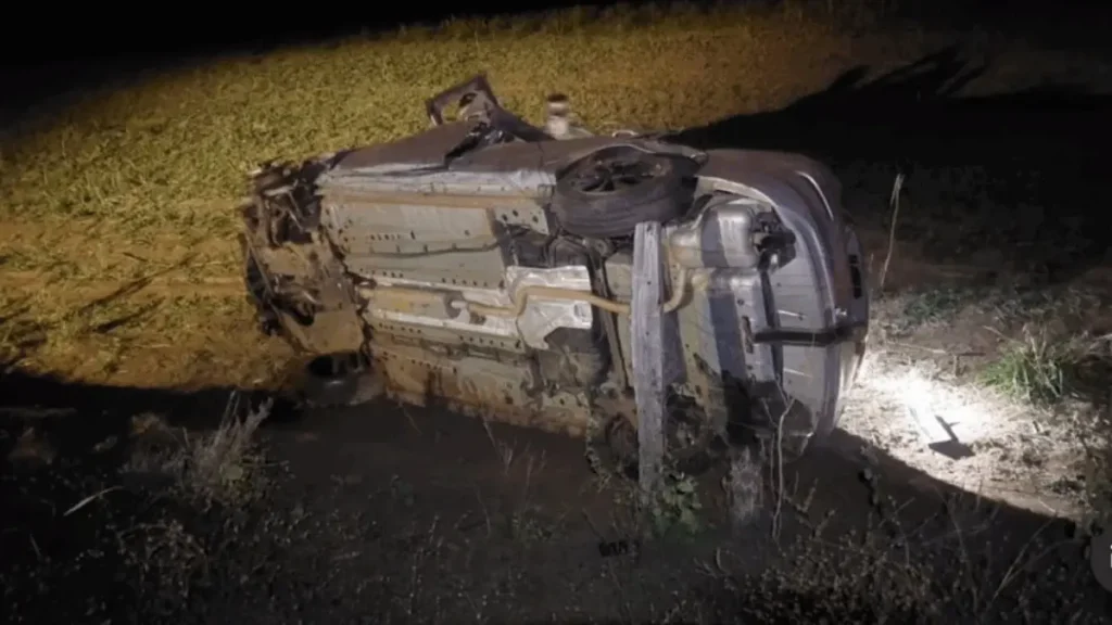 Capivara provoca acidente fatal na GO-305 e mata motorista em Catalão Foto:Reprodução