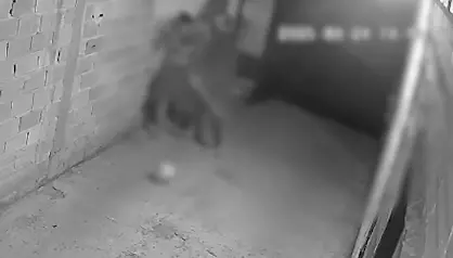 Captura de tela 2025 08 27 103832