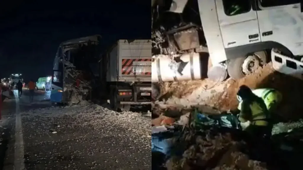 E51C8D8E 734F 4D2F 8688 BBB74ACAFC16