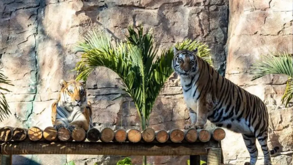 Foto de Capa 2025 08 09T195403.363