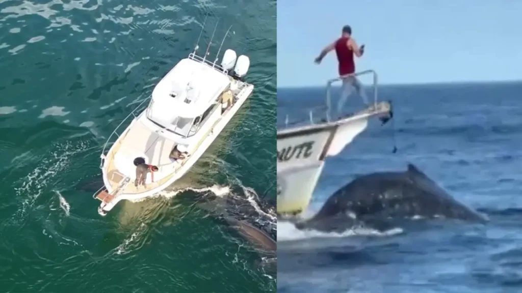 Foto de Capa 2025 08 14T201353.781