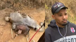 Foto de Capa 2025 08 19T195904.242