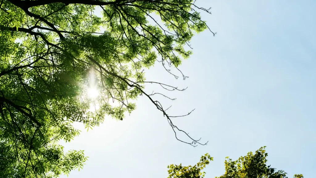 previsão do tempo em goiania