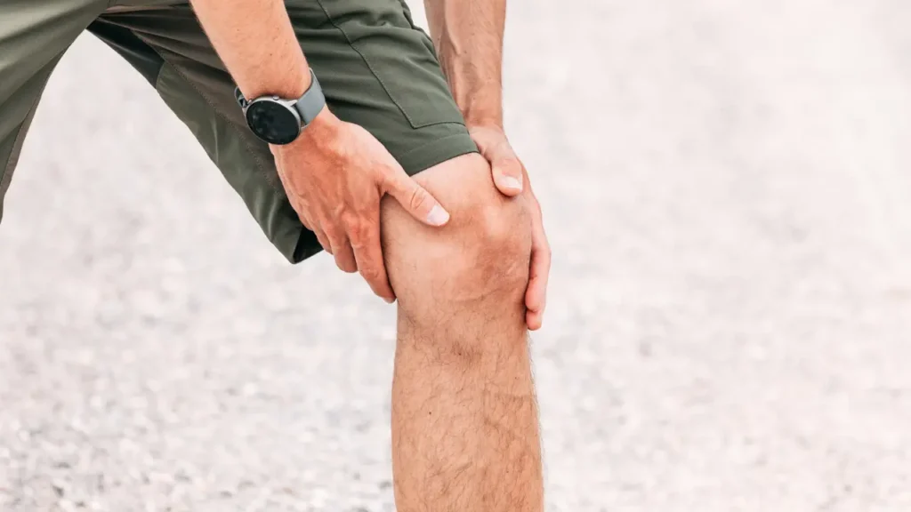 IMAGENS 2025 08 02T101842.015