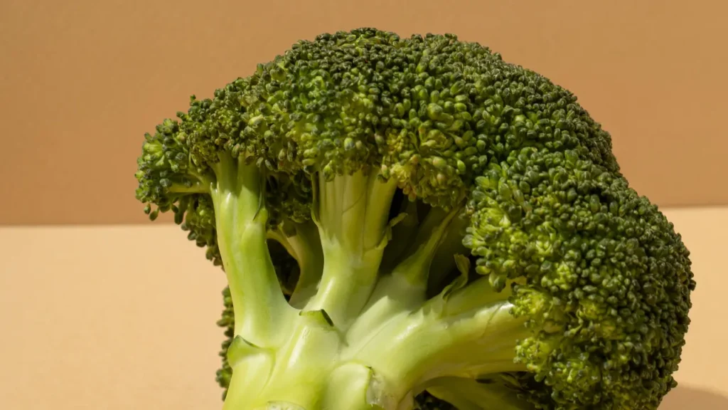 IMAGENS 2025 08 22T220213.010