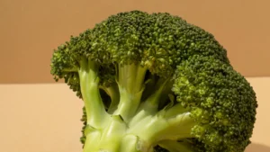 IMAGENS 2025 08 22T220213.010