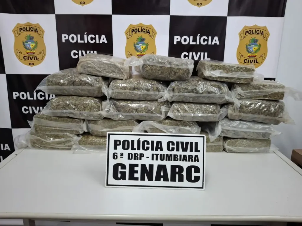 PCGO intercepta skunk carregamento de “supermaconha” avaliado em R$ 500 mil
