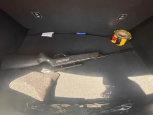 PCGO-prende-homem-por-estupro-de-vulneravel-e-apreende-arma-usada-em-ameacas-em-Anapolis MENOR DE IDADE