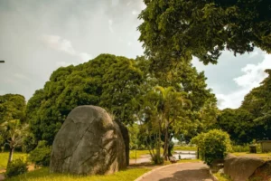 WhatsApp Image 2023 02 15 at 17.31.48 1024x682 1