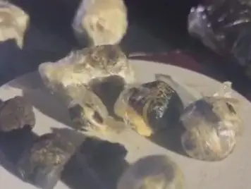 Homem é preso por tráfico de drogas em Aparecida de Goiânia