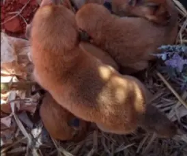 WhatsApp Image 2025 08 18 at 09.00.29