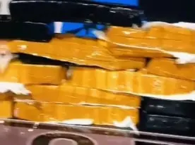 Homem é preso em Goiás com 50 kg de drogas escondidos em mala de ônibus