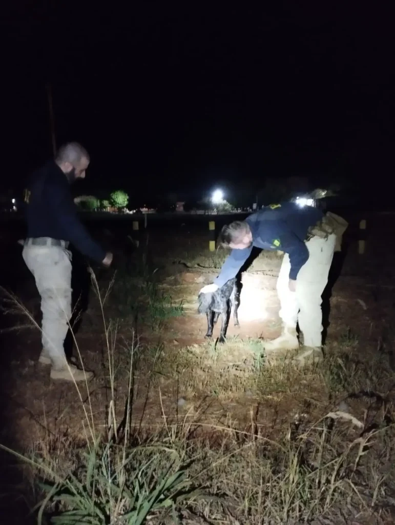 WhatsApp Image 2025 08 27 at 14.55.48