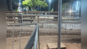 Menino de 10 anos leva choque em poste de iluminação durante festa de aniversário em Anápolis Foto: Divulgação