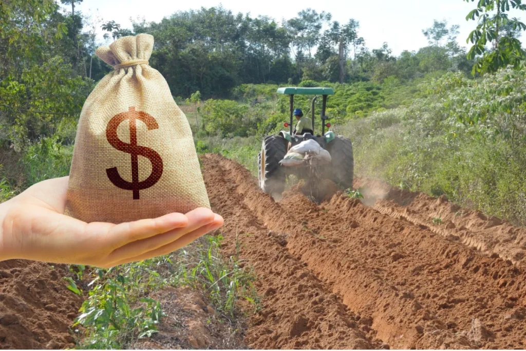 Advogado Leandro Marmo afirma que antecipar anúncio é positivo, mas ineficaz sem reforma no acesso aos recursos