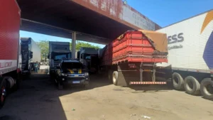 Parte da carga foi reconhecida como pertencente a um caminhoneiro vítima de furto horas antes | foto: Divulgação