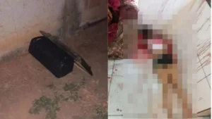 capa 2025 08 21T101311.470