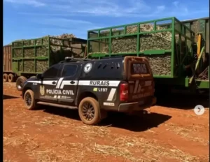 image 2025 08 14T081504.264