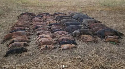 image 2025 08 20T095748.938