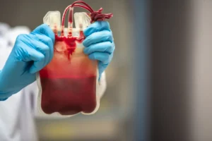 shutterstock 1666084213 1024x683 1