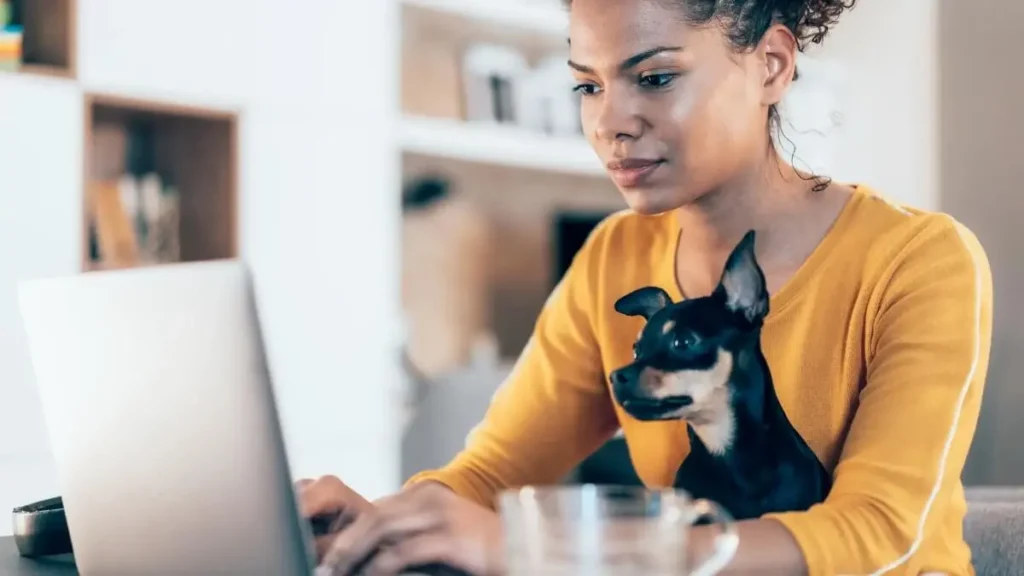 trabalhando home office