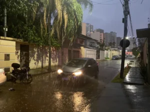 10 Fecha Augusto Diniz O Hoje