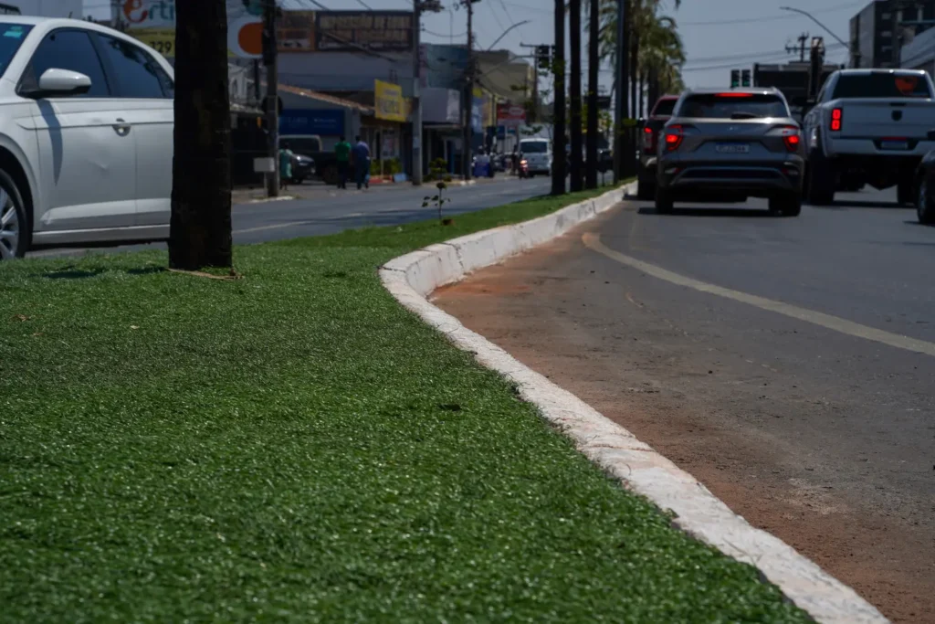 De um lado, há quem veja a iniciativa como modernização do espaço urbano, garantindo aparência verde mesmo em períodos de estiagem Foto: Gabriel Louza/O HOJE