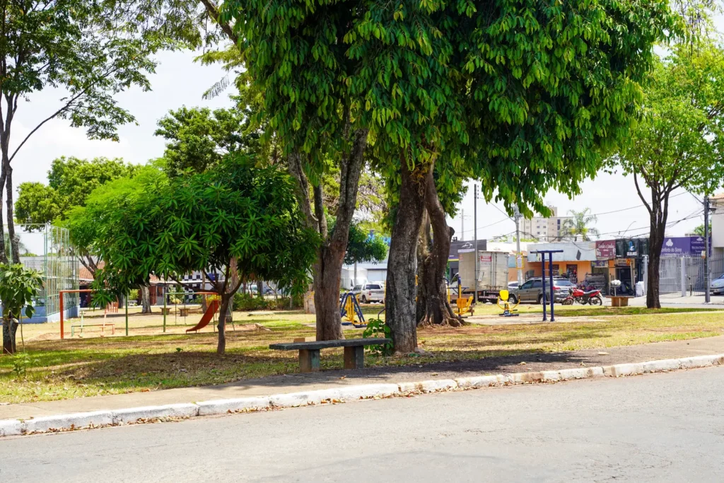 Sem medidas mais rápidas e eficazes, os jamelões continuarão a fazer vítimas nas ruas de Goiânia Foto: Gabriel Louza/O HOJE