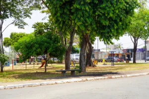 Sem medidas mais rápidas e eficazes, os jamelões continuarão a fazer vítimas nas ruas de Goiânia Foto: Gabriel Louza/O HOJE