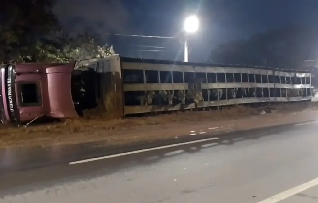 11 fecha Divulgacao 1