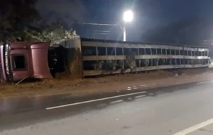 11 fecha Divulgacao 1