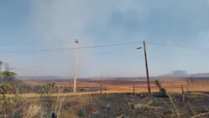 Entre janeiro e agosto de 2025, 167 ocorrências atingiram diretamente o sistema, o que aumenta os riscos à segurança e exige respostas rápidas das equipes de manutenção