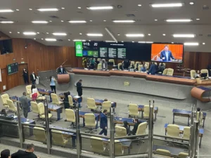 2 abre Foto Millena Cristina Camara Municipal 3