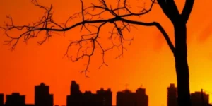 A capital, Goiânia, também apareceu entre as cidades mais quentes, alcançando 39,1°C e ficando em 11º lugar na lista Foto: Divulgação