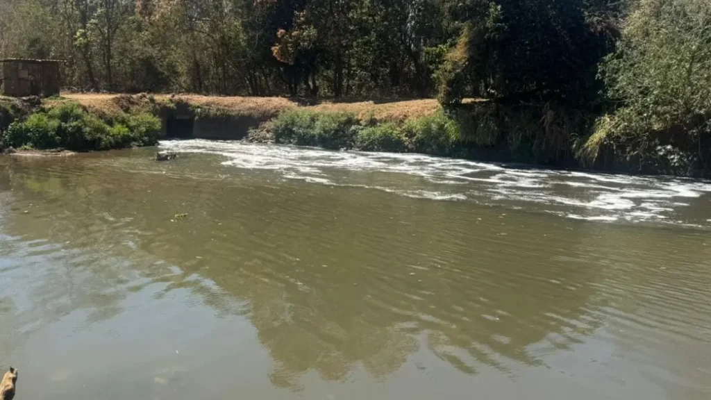 21e436c1 1200 800 2025 08 31t080712.191 1200x675 1