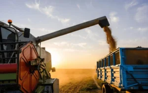 4 abre Divulgacao Seapa 1