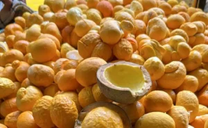 4 abre Giovana Andrade