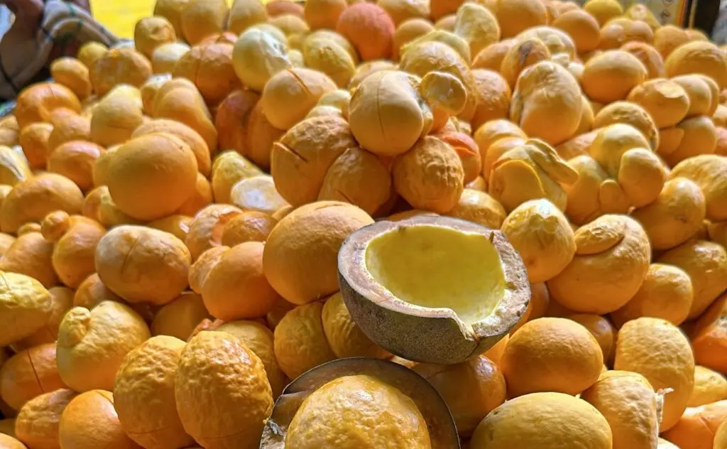 4 abre Giovana Andrade