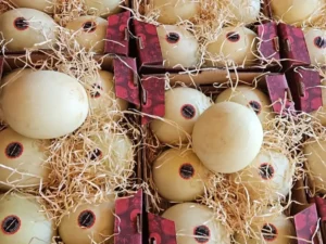 4 fecha Divulgacao Agrodefesa